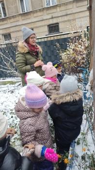 IMG_20251124_095309227