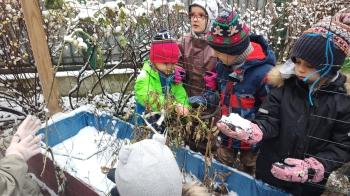 IMG_20251124_095335608