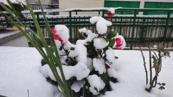 IMG_20251124_101153026