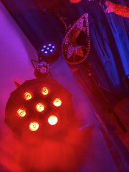 IMG_20260209_135206819_HDR