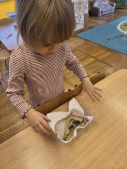 IMG_20260223_105604460_HDR