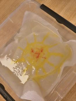 IMG_20260223_105807811_HDR