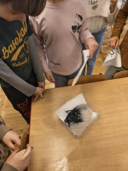 IMG_20260223_110114159_HDR