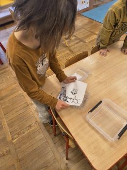 IMG_20260223_110415240_HDR