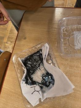 IMG_20260223_110427995_HDR