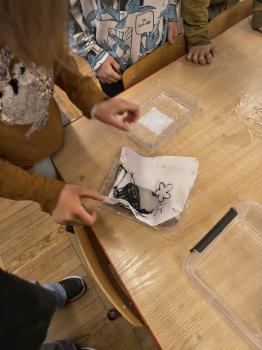 IMG_20260223_110425688_HDR