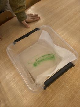 IMG_20260223_110919281_HDR