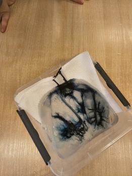 IMG_20260223_111100428_HDR