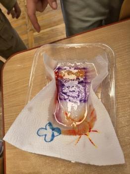 IMG_20260223_111249877_HDR