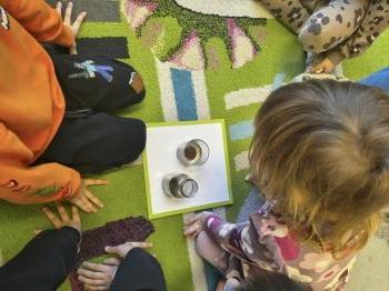 IMG_20260224_095806532_HDR