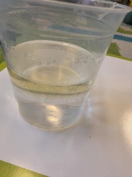 IMG_20260224_100238366_HDR