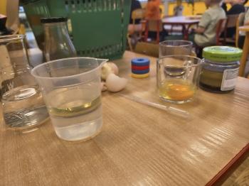 IMG_20260224_100938238_HDR