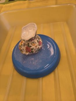 IMG_20260226_134216217_HDR