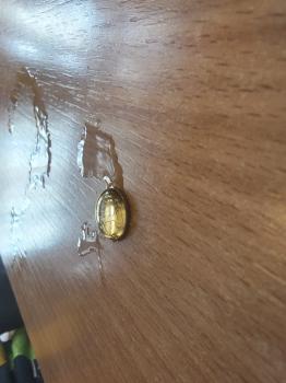 IMG_20260227_133909688_HDR