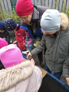 IMG_20260327_094214013_HDR