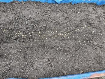 IMG_20260327_094509836_HDR