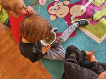 IMG_20260331_095059008_HDR