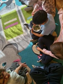 IMG_20260331_095158133_HDR