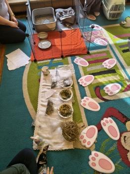 IMG_20260331_095512276_HDR