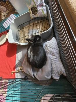 IMG_20260331_100748993_HDR