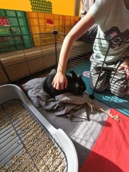 IMG_20260331_101359962_HDR