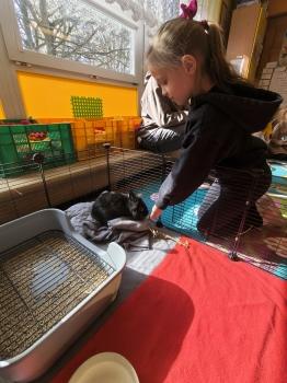 IMG_20260331_101431389_HDR