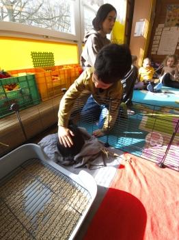 IMG_20260331_101547189