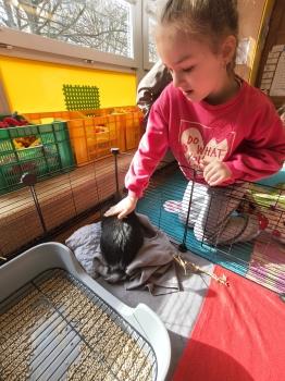 IMG_20260331_101524060_HDR