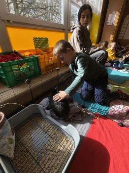 IMG_20260331_101619255_HDR