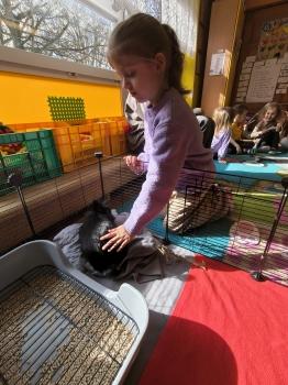 IMG_20260331_101639243_HDR