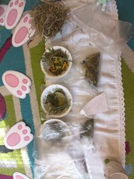 IMG_20260331_101724837