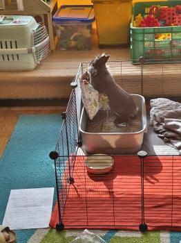 IMG_20260331_102135368_HDR