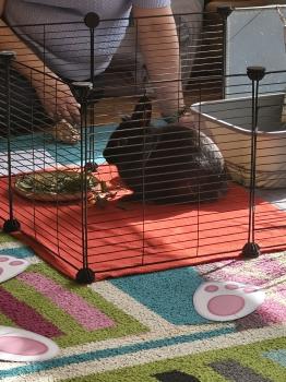 IMG_20260331_102545271_HDR