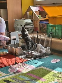 IMG_20260331_102820853_HDR