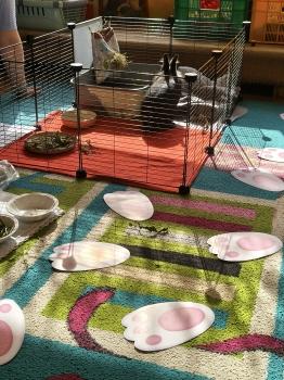 IMG_20260331_102933574_HDR