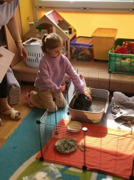 IMG_20260331_103101791_PORTRAIT