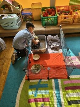 IMG_20260331_103556722_HDR