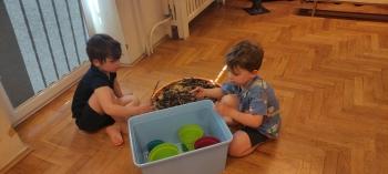 IMG_20260421_095208