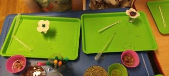 IMG_20260416_111959
