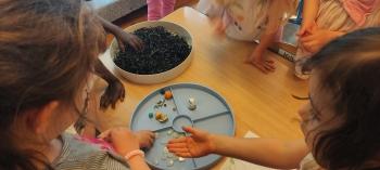 IMG_20260506_153016