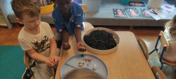 IMG_20260506_153033