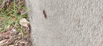IMG_20260514_113959