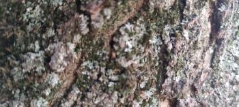 IMG_20260514_114448