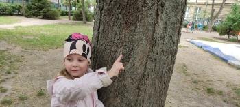 IMG_20260514_114505
