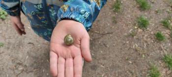 IMG_20260514_115126