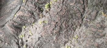 IMG_20260514_115303
