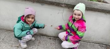 IMG_20260514_115352