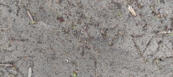 IMG_20260515_110854