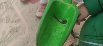 IMG_20260515_114115