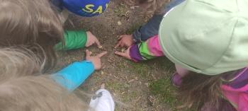 IMG_20260515_113844